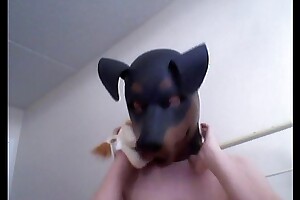 Freakish Girl gets withdraw enervating a rubber dog veil
